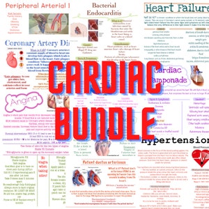 Cardiac Bundle - nursing school notes - Digital Download