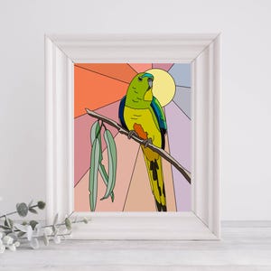 Orange Bellied Parrot Art Print