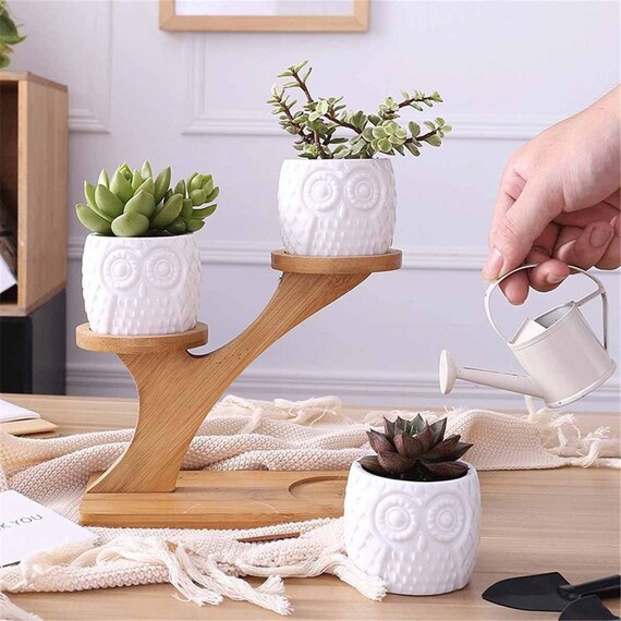 2Tier Bonsai Desk Plant Stand With Pot Desk Planter Etsy