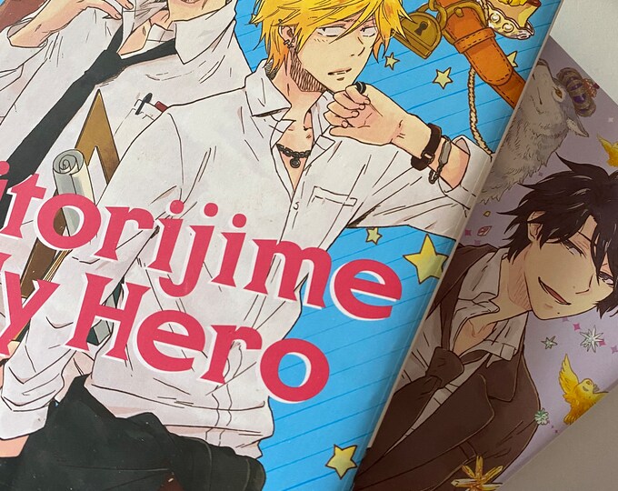 BL Manga Hitorijime My Hero - Etsy