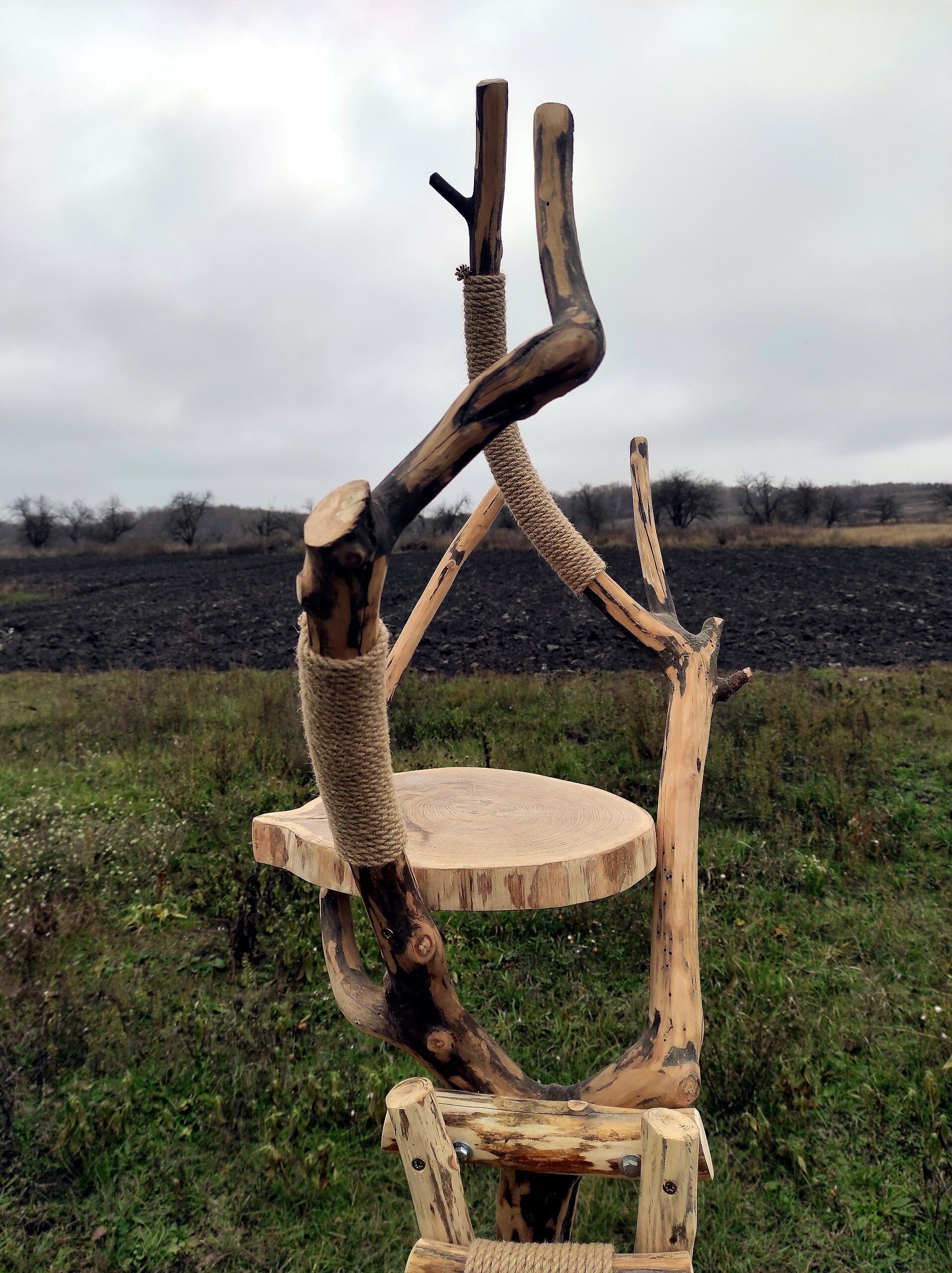 Eco Cat Scratching Post with Natural Wood Cat Wood Cat Etsy