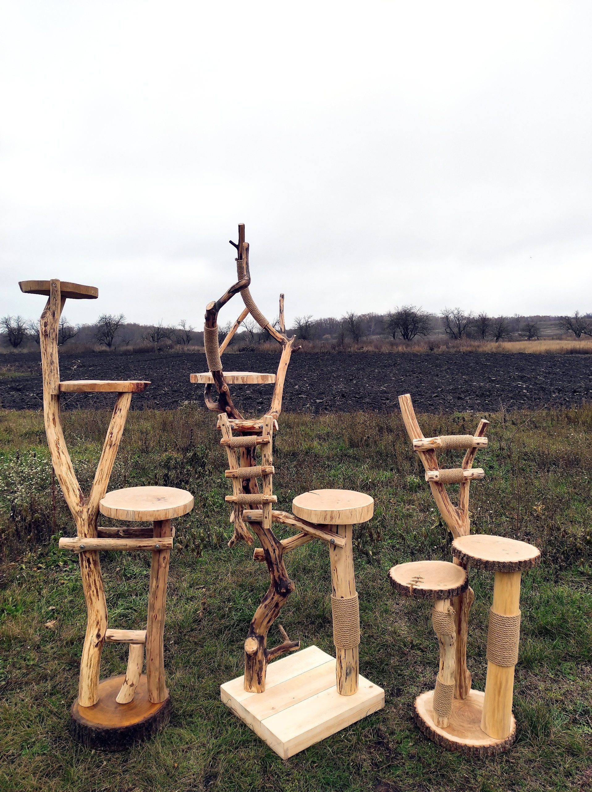 Eco Cat Scratching Post with Natural Wood Cat Wood Cat Etsy