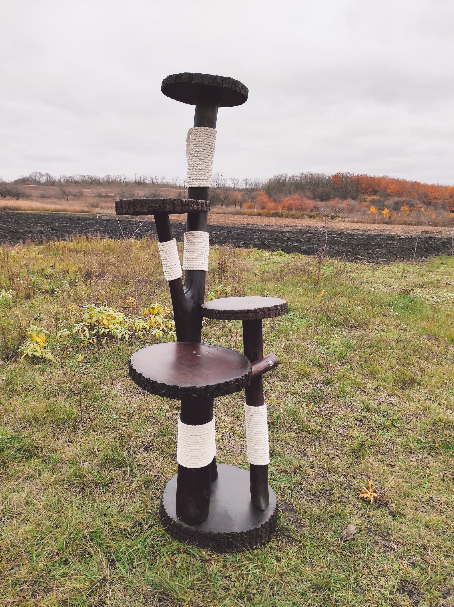 Eco Cat Scratching Post with Natural Wood Cat Wood Cat Etsy