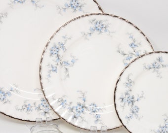 Royal Albert /  Paragon &quot;Bride&#39;s Choice&quot; pattern (ENGLAND backstamp): dessert, salad, and dinner plates, vintage bone china