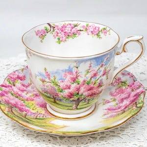 Royal Albert Blossom Time - Etsy