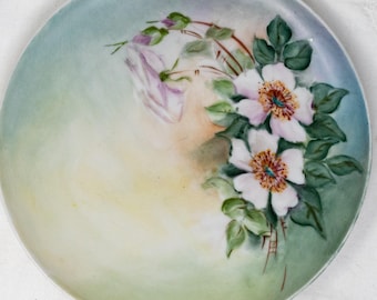 Eschenbach baronet china hand-painted plate "Celeste", pale soft colours, decorative plate, Bavaria, Germany