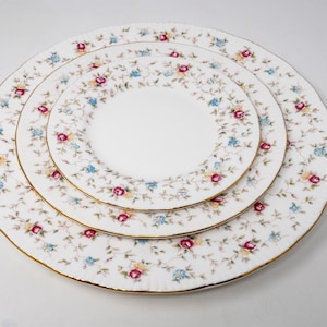Selection of Paragon &quot;First choice&quot; plates: dinner, salad, dessert plates; vintage bone china, England, c.1981
