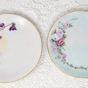 Selection of vintage/antique hand-painted porcelain china plates by Classic Bavaria, artist signed Elizabeth D. Fleming, Germany