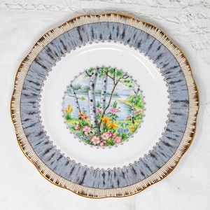 Royal Albert Silver Birch 6.25&quot; dessert/bread and butter plate, vintage bone china made in England