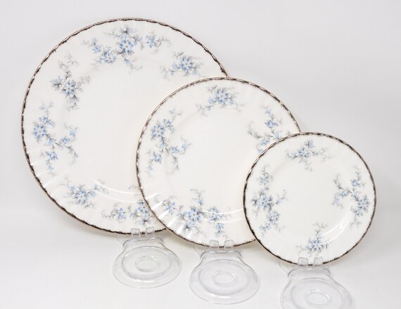 Royal albert clearance paragon