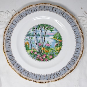 Royal Albert Silver Birch 10.25&quot; dinner plate, vintage bone china made in England
