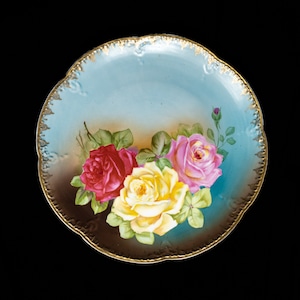 Großer Imperial Austria Teller, handbemaltes Blumenarrangement, Österreich, antiker Teller