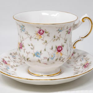 First Choice Paragon - Etsy