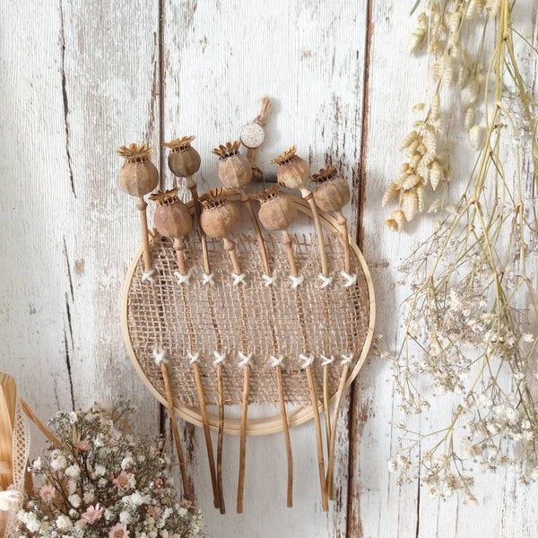 Composition de fleurs séchées, pavots et jute sur tambour à broder