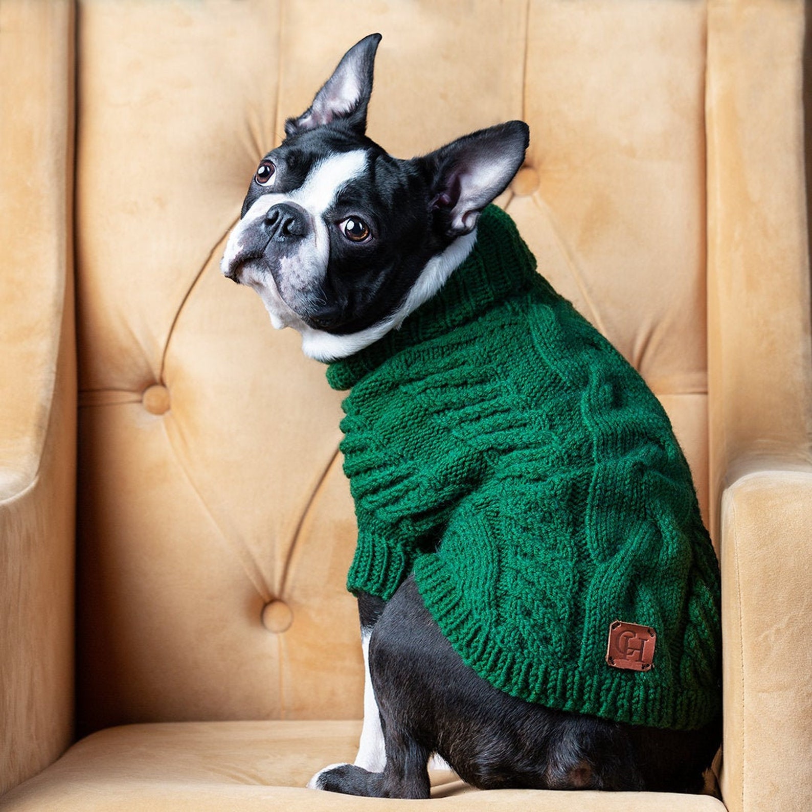 Green Dog Sweater
 Green Dog Sweater Wool Pet Sweater Handmade Dog Sweater