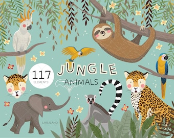 Jungle Animals Clipart: Safari PNG Graphics (Digital Download)