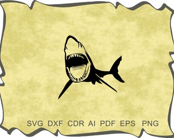 Download Clip Art Svg Png Ocean Svg Pdf Shark Vector Shark Svg Svg Files For Cricut Cdr Baby Shark Svg Ai Shark Clipart Glowforge Eps Art Collectibles