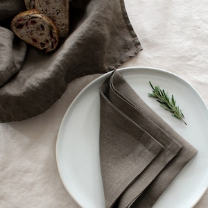 Linen Napkin, Dinner Napkin, Coffee Brown Table Decor Wedding, PreWashed, Housewarming Gift, Linen Napkins Bulk, Wedding Napkins, Tea Napkin