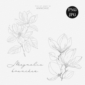 Magnolia png clipart, papier do robótek ręcznych z gałęzi kwiatów, tekstura papieru akwarelowego z kwiatami, minimalistyczna sztuka liniowa, naklejki do pobrania cyfrowego, botaniczny