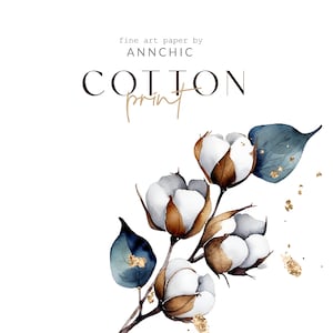 Clipart de rama de algodón, descarga digital de algodón de acuarela, flor de invierno imprimible, calcomanía artesanal, tarjeta de invitación, álbum de recortes, diario
