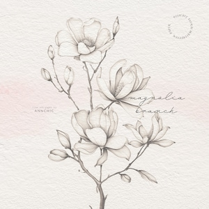 May include: A black and white line drawing of a magnolia branch with several blossoms. The text "magnolia branch" is written in cursive below the branch. The background is a light pink watercolor wash.
