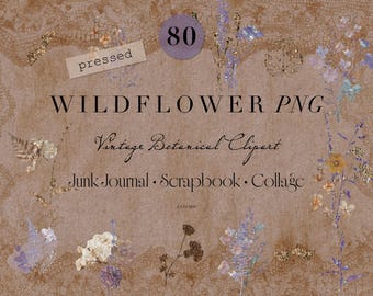 Wildflower PNG Bundle 80 Flowers - Pressed Flower PNG - Junk Journal Flowers - Scrapbook Floral Elements - Transparent PNG