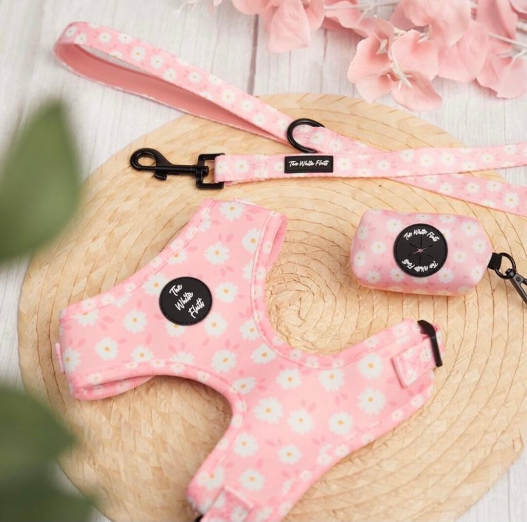 Pink Dog Harness Set Daisy Dog Harness Washable Etsy