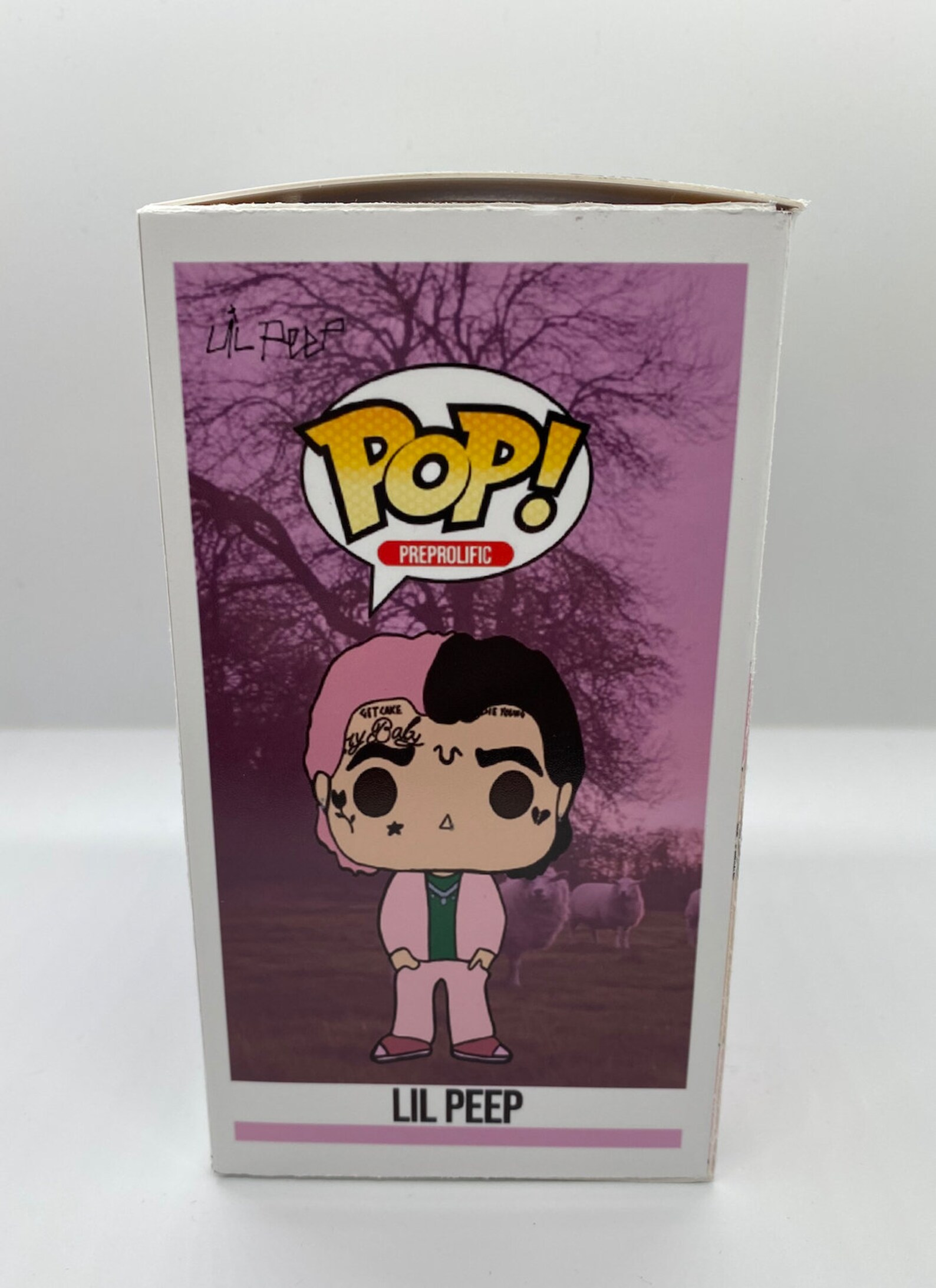 Lil Peep Custom Handpainted Funko Pop V.1 - Etsy