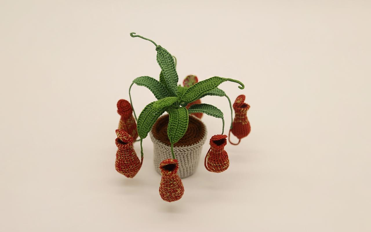 Nepenthes (pitcher Plant) Crochet Pattern - Etsy