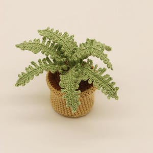 Fern Crochet Pattern