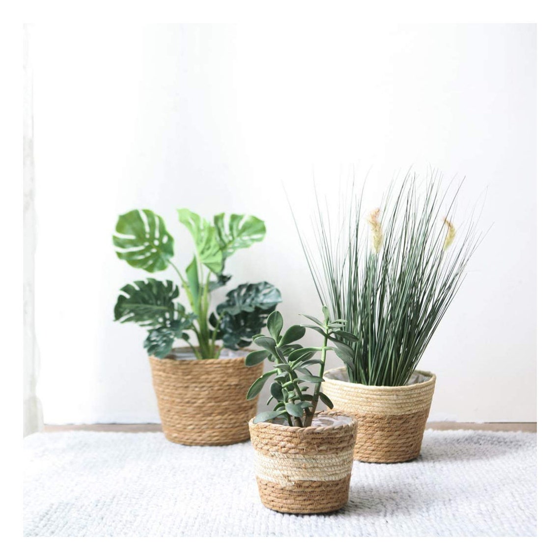 Set of 3 Woven Seagrass Planter Pots Planters Plants Rope Etsy