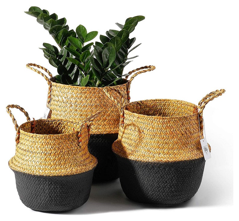 Set of 3 Woven Seagrass Planter Pots Planters Plants Rope Etsy
