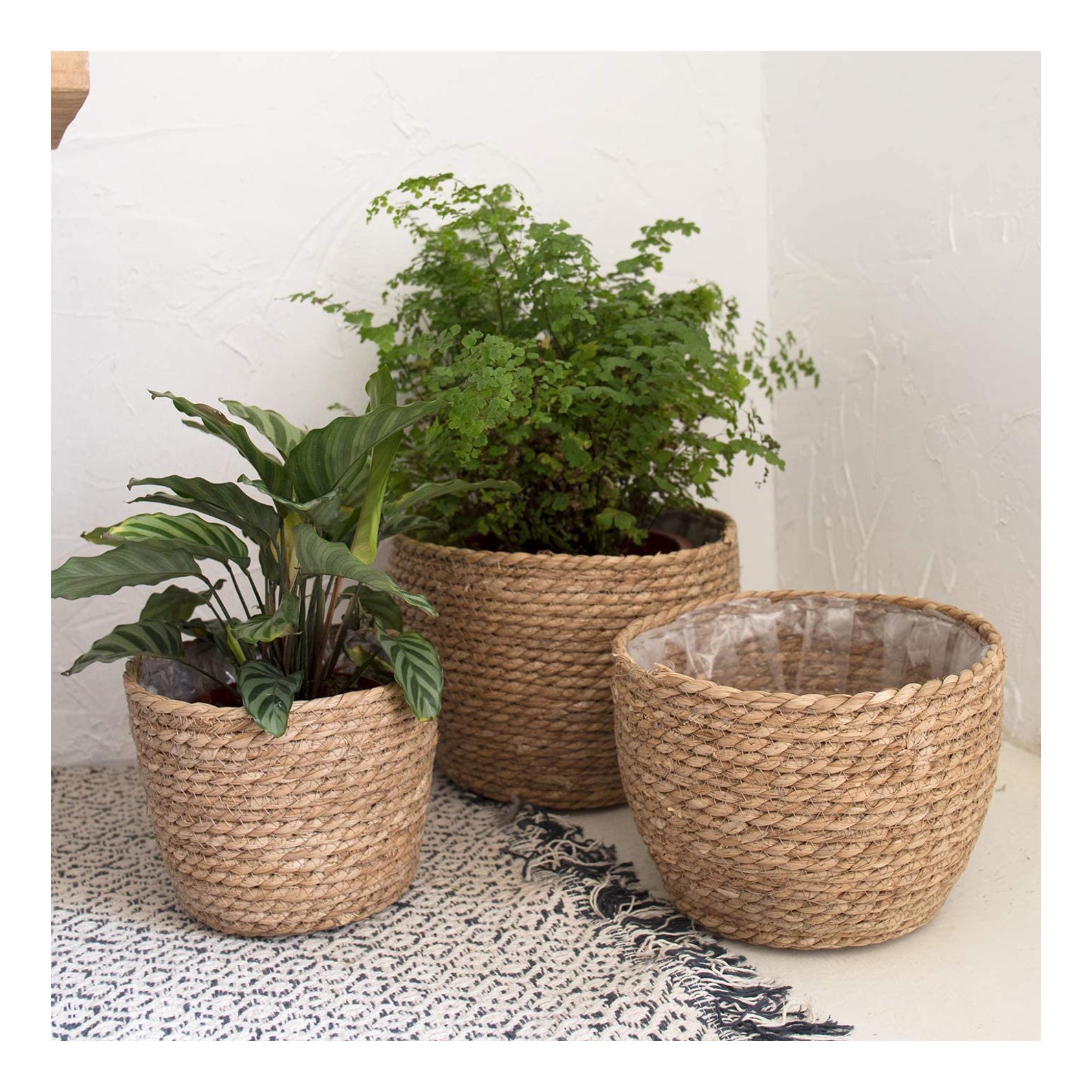 Set of 3 Woven Seagrass Planter Pots Planters Plants Rope Etsy