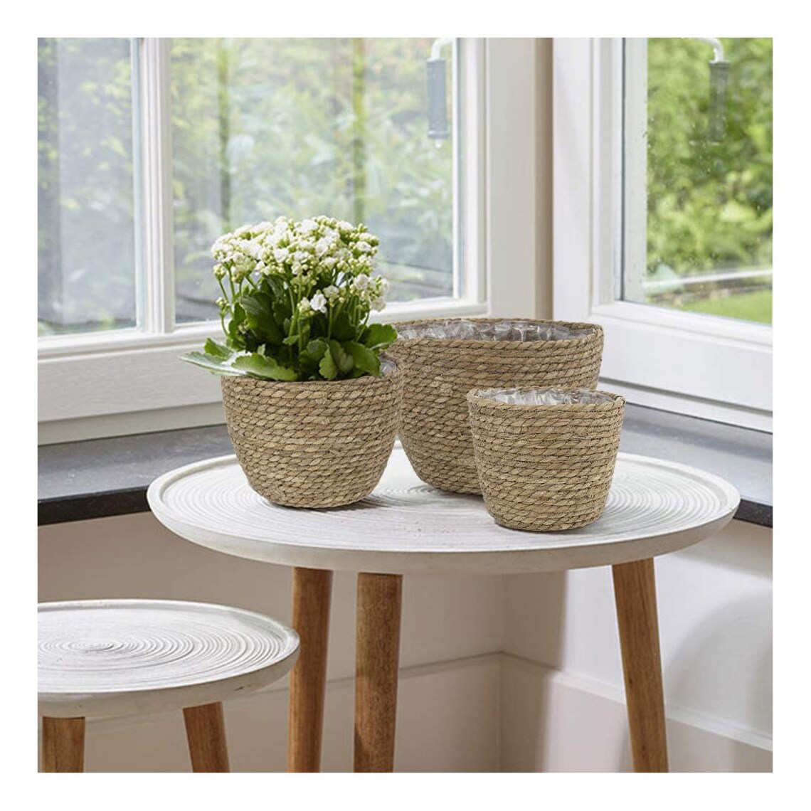 Set of 3 Woven Seagrass Planter Pots Planters Plants Rope Etsy