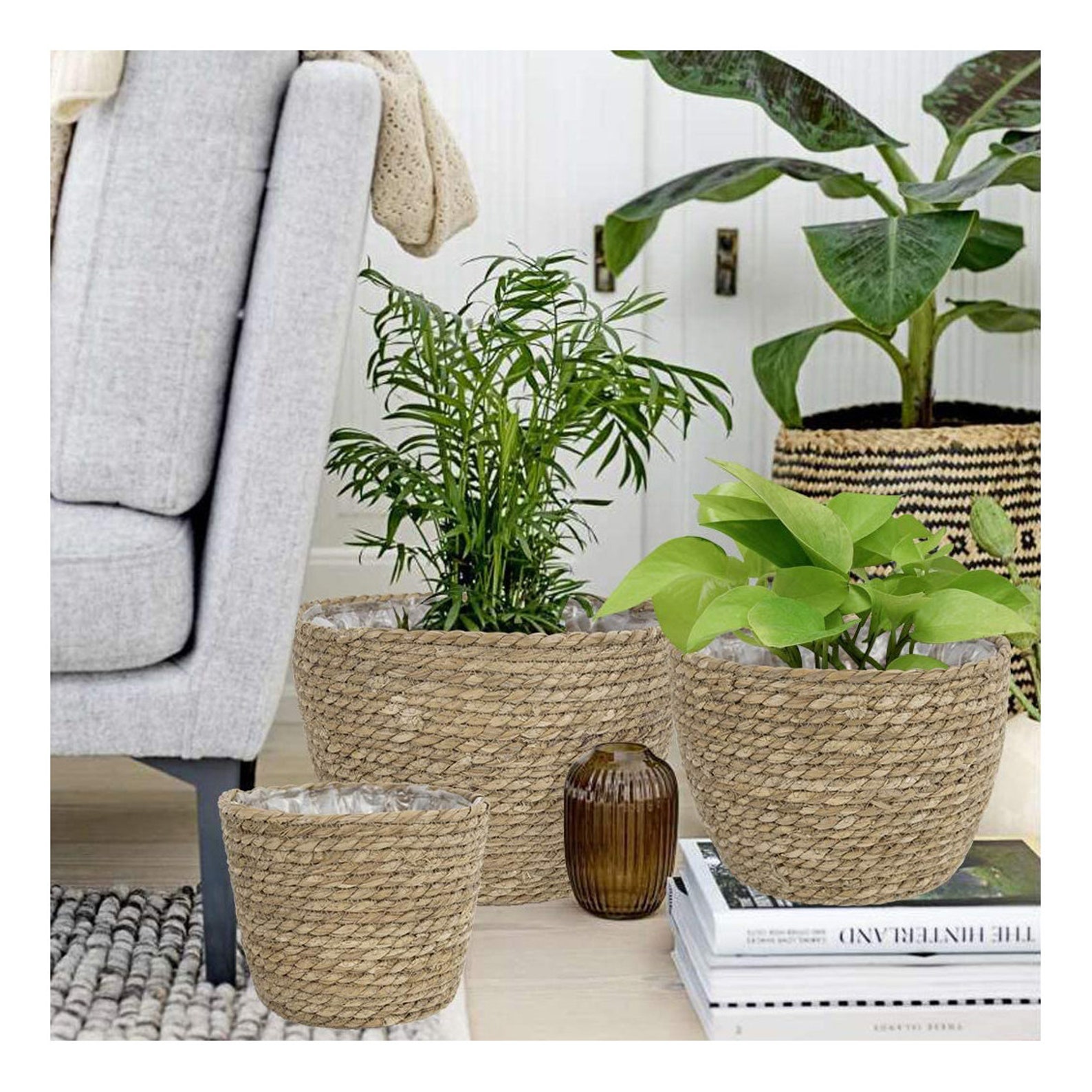 Set of 3 Woven Seagrass Planter Pots Planters Plants Rope Etsy