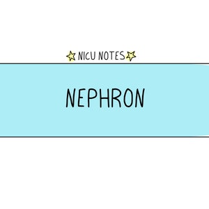 The Nephron: nicu nursing & nnp notes