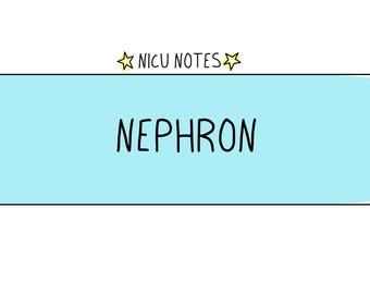 Der Nephron: nicu still & nnp Notizen
