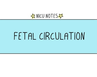 Fetal Circulation: nicu still & nnp Notizen