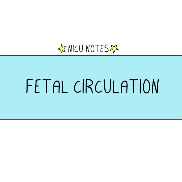 Fetal Circulation : nicu nursing & nnp notes