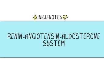 Renin-Angiotensin-Aldosteron System: nicu still & nnp Notizen