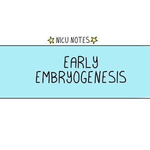Early Embryogenesis: nicu nursing & nnp notes