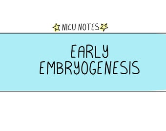 Frühe Embryogenese: nicu still & nnp Notizen