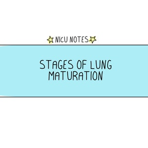 Stages of Lung Maturation: nicu nursing & nnp notes