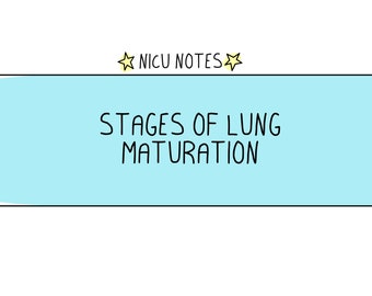 Stadien der Lungenreifung: nicu stilling & nnp-notizen