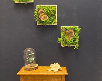 Miniature Vertical Gardens for 'dollshouse'