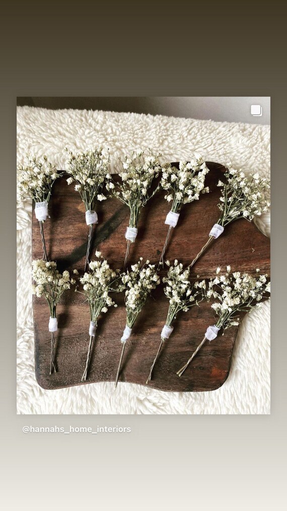 Gypsophila Hair Pin/ Dried Gypsophila/ Hair Pins/ Wedding Etsy UK