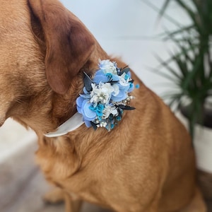 Dog Flower Crown/ Dog Collar/ Dog Wedding Accessory/ Pet Flower Collar/ Dog Ring Bearer/ Flower Dog Collar