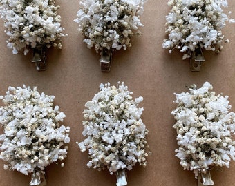 Mixed Gypsophila hair slides / Gypsophila hair clips/ Gypsophila hair accessories/ white and natural Gypsophila clips/ boho clips/ brides