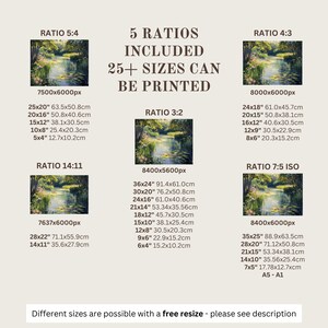 Serene water scene poster for living room — rustic artwork capturing lily pads and wildflowers, bringing nature-inspired charm to your home.