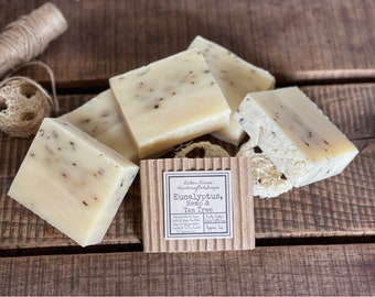 Eucalyptus Hemp & Tea Tree Oil Soap | Exfoliating Soap | Detox Soap Bar | Natural Soap Bar | Homemade Vegan Soap | Artisan Soap